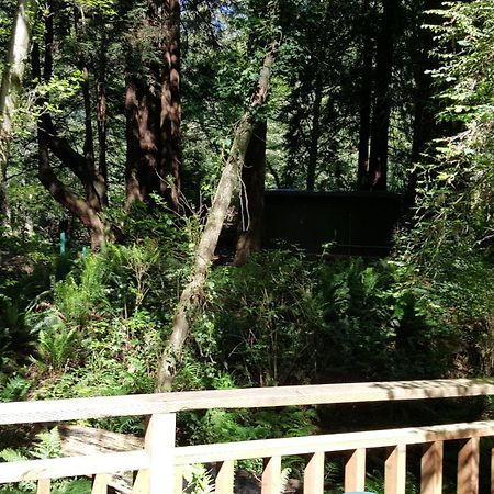 Emerald Forest Cabins Trinidad Δωμάτιο φωτογραφία