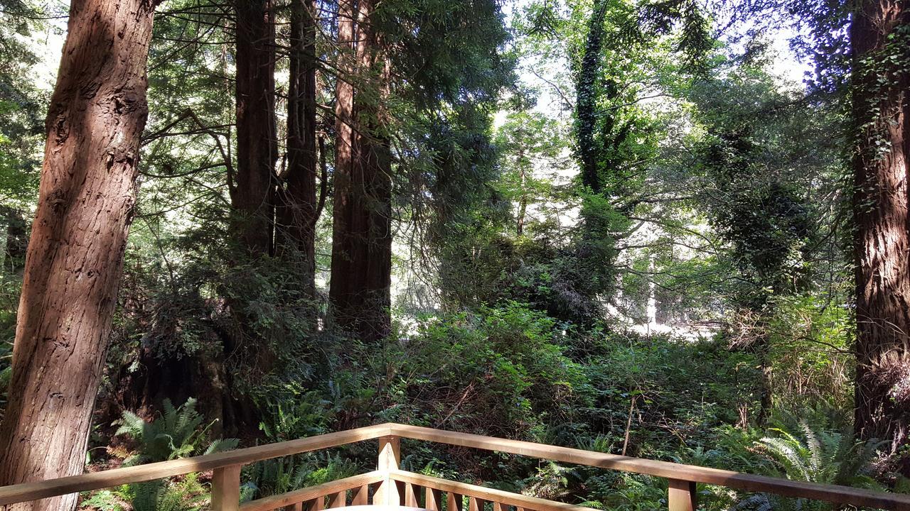Emerald Forest Cabins Trinidad Εξωτερικό φωτογραφία
