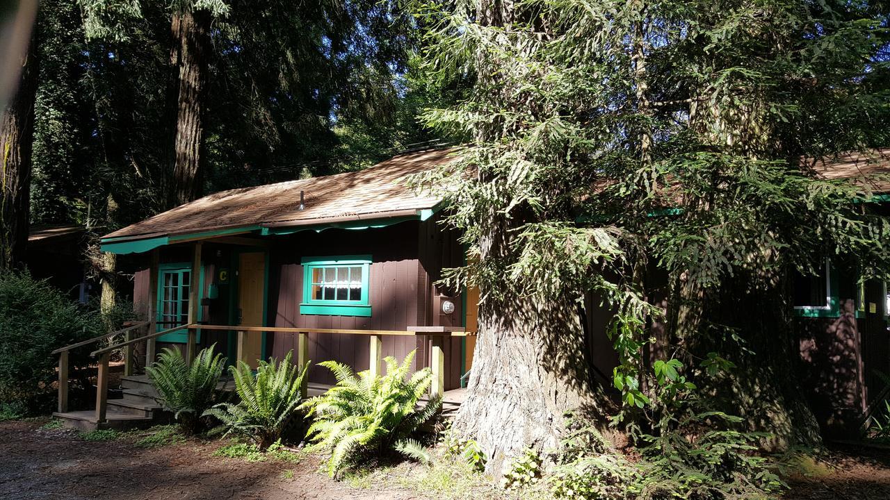 Emerald Forest Cabins Trinidad Εξωτερικό φωτογραφία