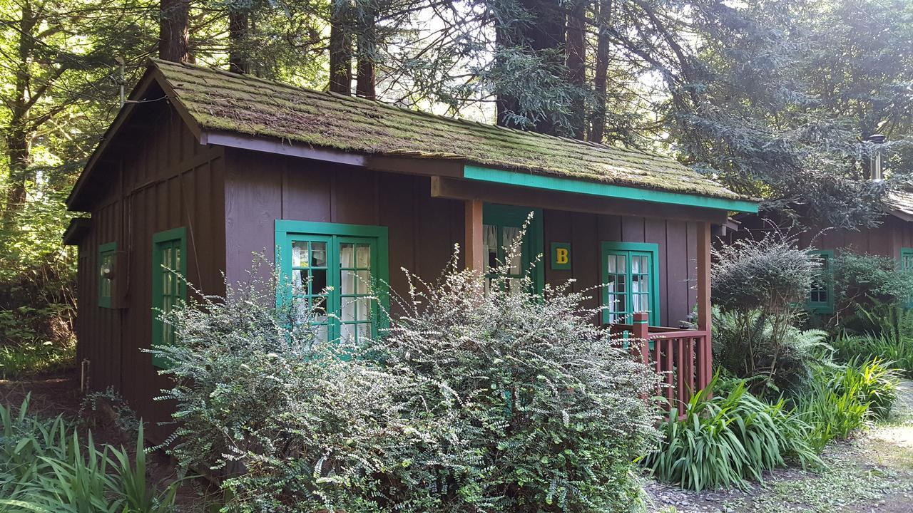 Emerald Forest Cabins Trinidad Εξωτερικό φωτογραφία