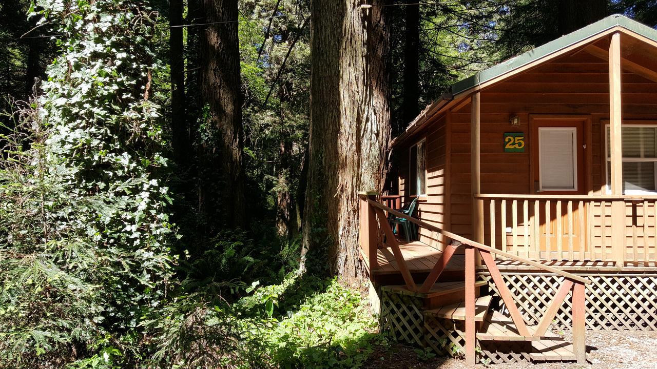 Emerald Forest Cabins Trinidad Εξωτερικό φωτογραφία