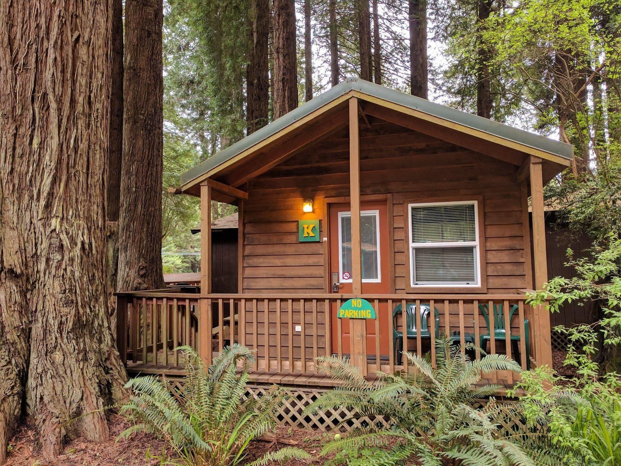 Emerald Forest Cabins Trinidad Εξωτερικό φωτογραφία